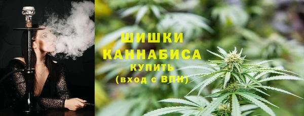 МДПВ Инта