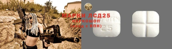молекула духа Чердынь