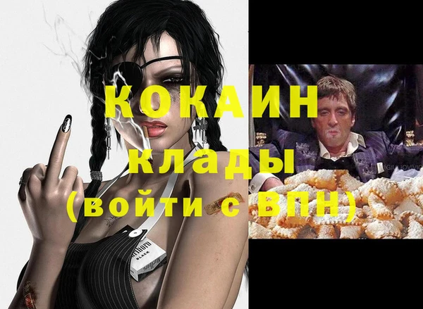 МДПВ Инта