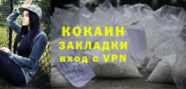 молекула духа Чердынь