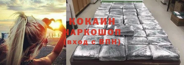 МДПВ Инта