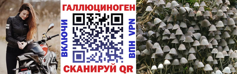 Галлюциногенные грибы мицелий  Купить закладки  Сасово 