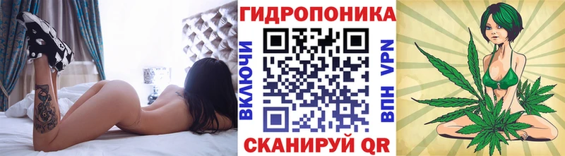 Купить  Сасово  Марихуана White Widow 